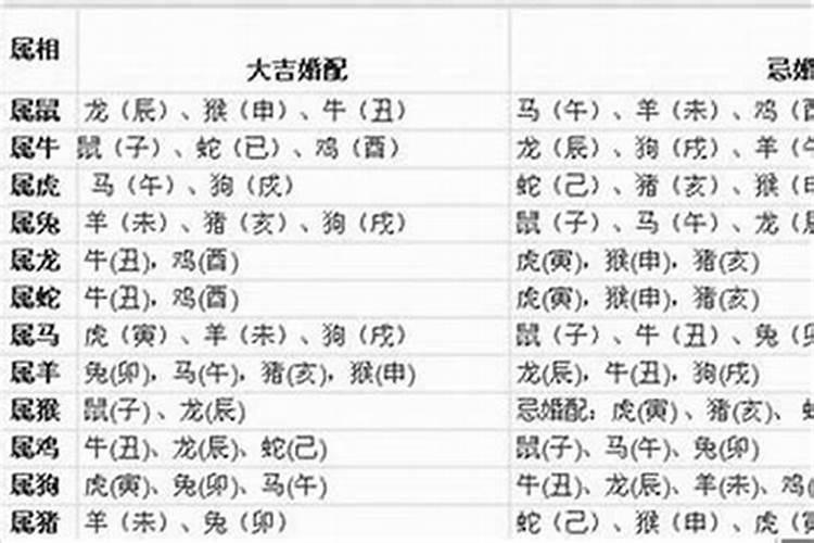 2022年2月2日是什么生肖冲什么生肖呢