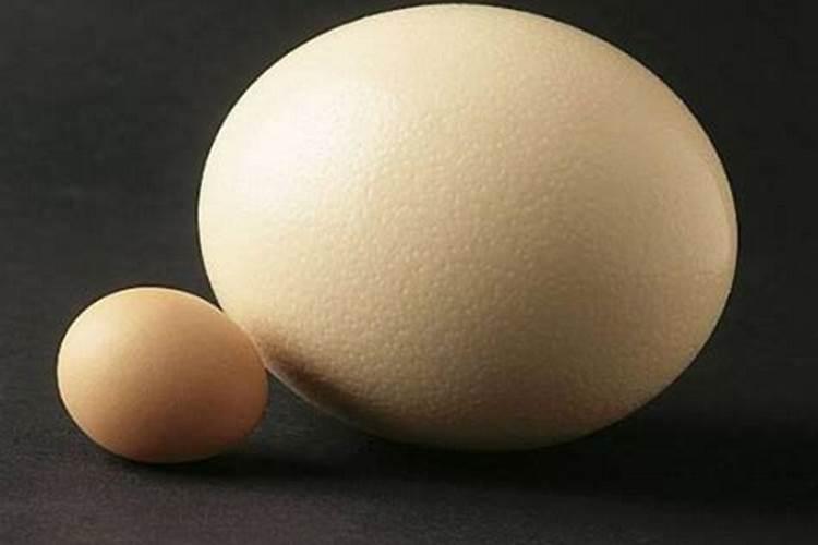 梦到很大的蛋是什么意思