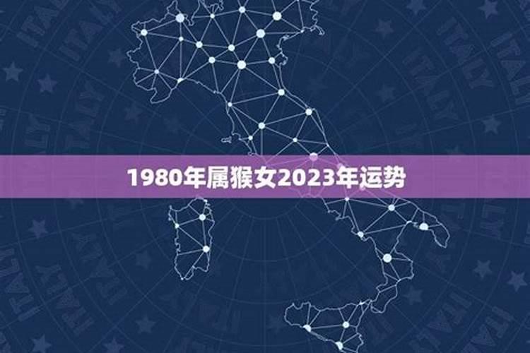 1980属猴的人2023年的运势及运程