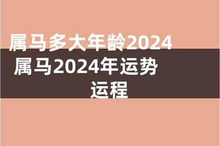 2023年属马多大了