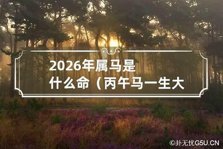 2026年属马是什么命运啊