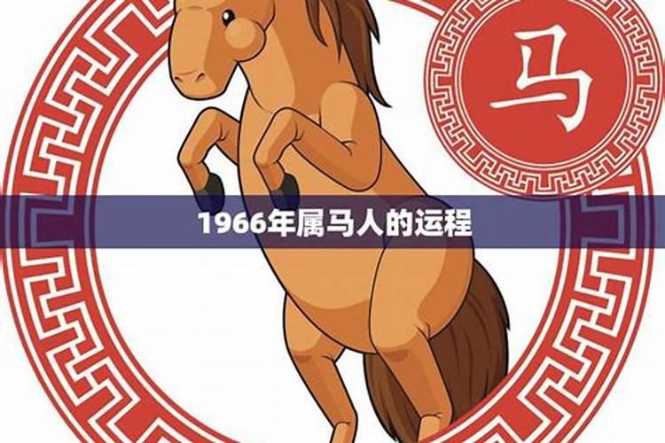 2026年属马人的全年运势女性怎么样呢