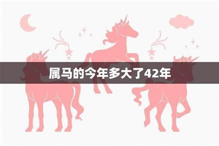 202属马的今年多大了