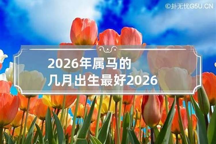 2026年属马的几月出生最好命