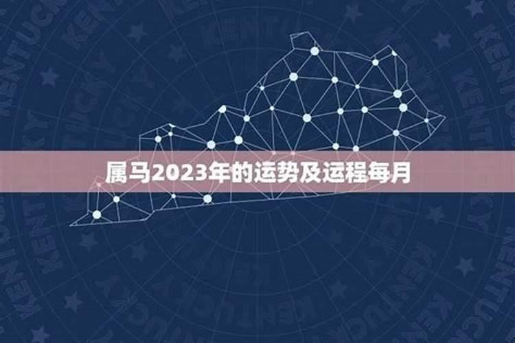 属马2026年的运势