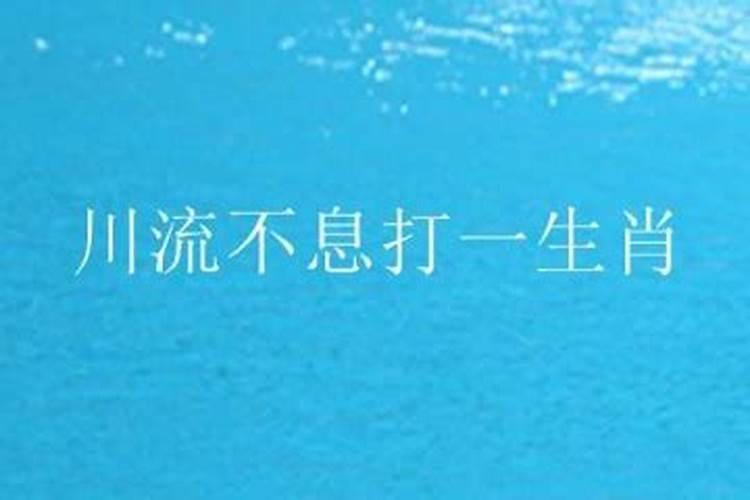 流字代表什么生肖和数字