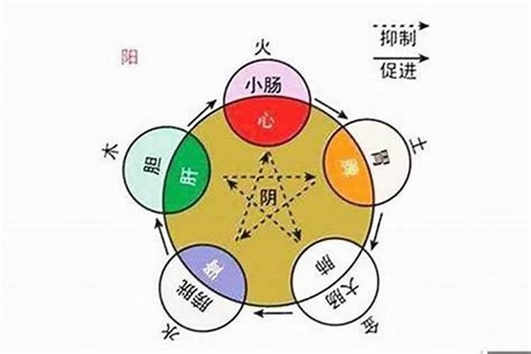 梦在五行中是什么属性