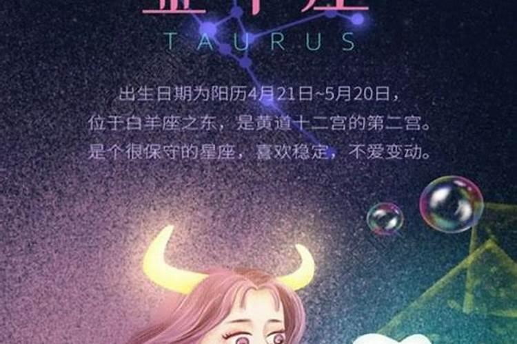 天蝎女怎么追金牛男的