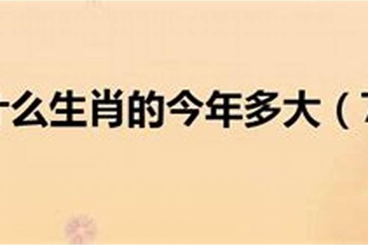 1977年属什么生肖今年有多大了