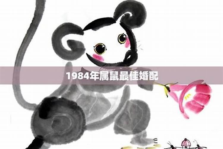 1984属什么命婚配表