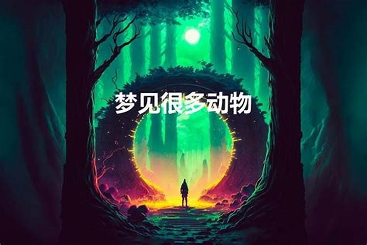 做梦梦见好多动物是什么意思啊