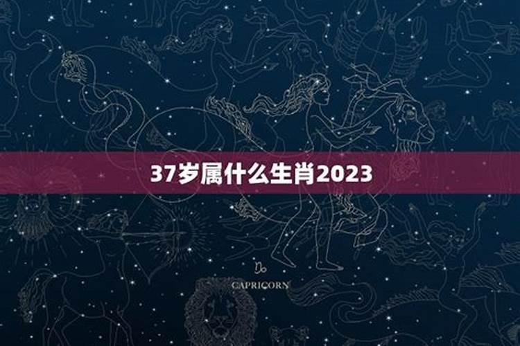 今年37岁属相是什么生肖的呢