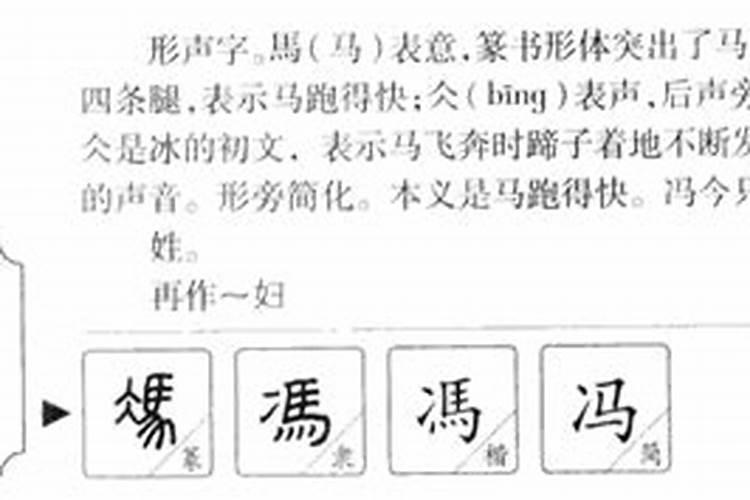 冯字五行属性是什么