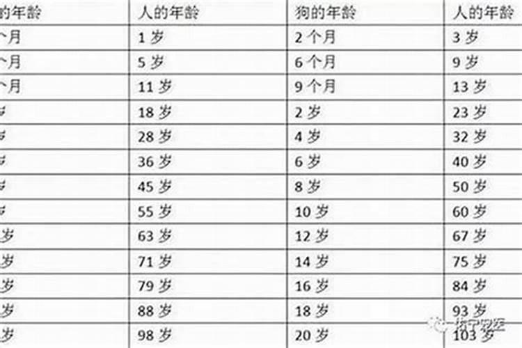 2020本命年是多少岁