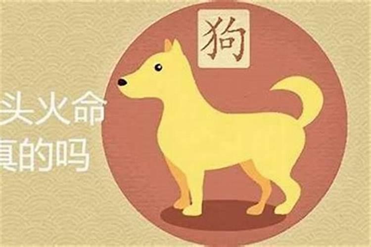 犬肖有什么生肖