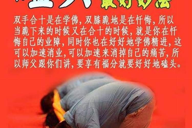 生肖属蛇今年多大