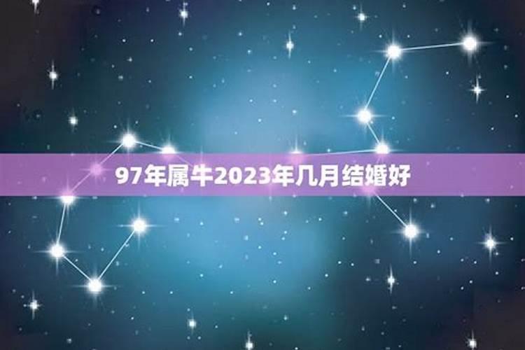 属牛的2023年几月结婚好