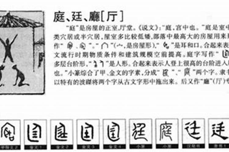 赵这个字在五行中属什么