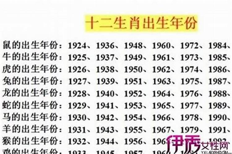 11岁是什么星座属兔