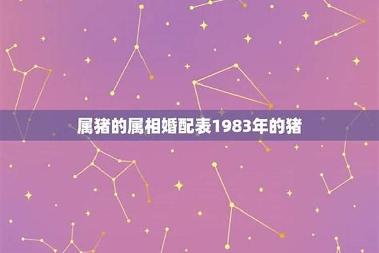 1983年的属什么与什么最配