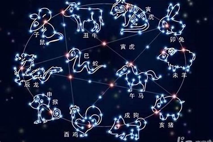 十二星座什么星座最好看