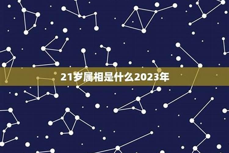 今年21岁属什么生肖2022