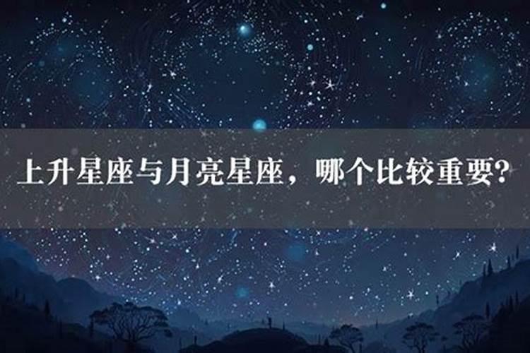 上升哪个星座最好看