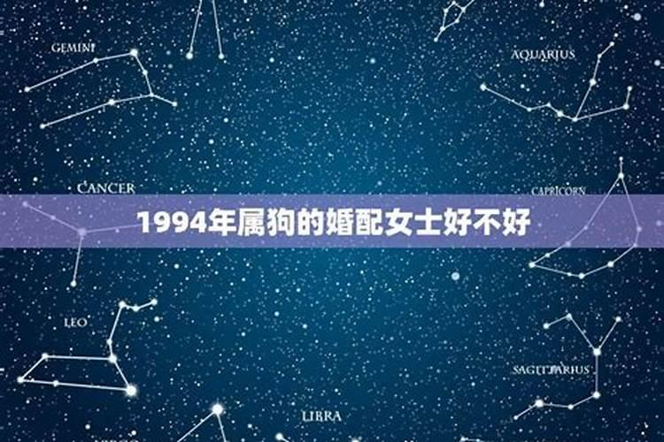 属狗1994年是什么命婚姻