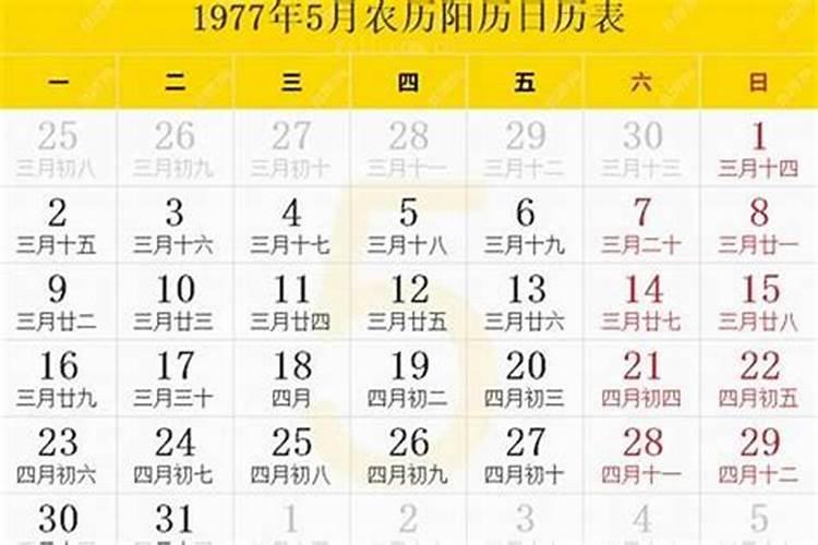 1994年属狗的五行是什么土