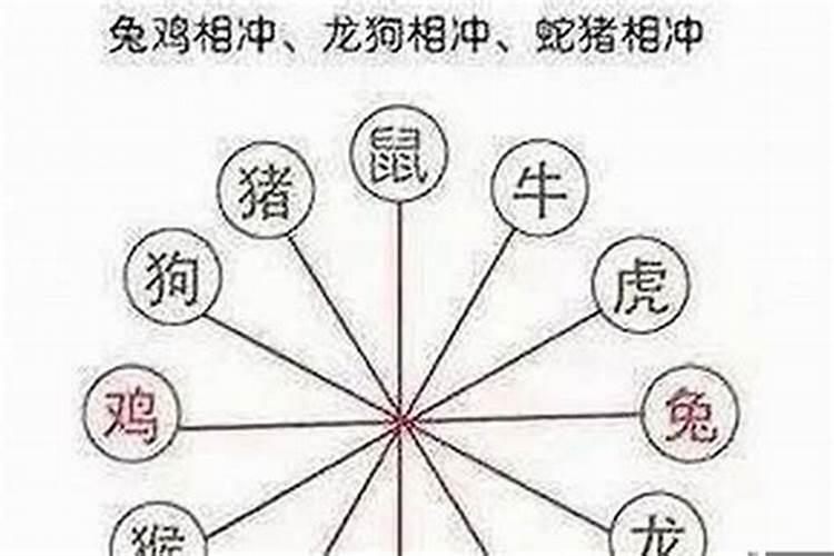 五月十七属什么生肖