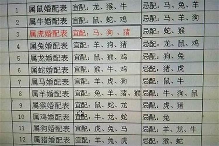 男属虎与女属龙相配吗婚姻如何