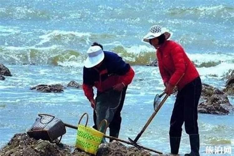 梦到去海边赶海遇到蛇了