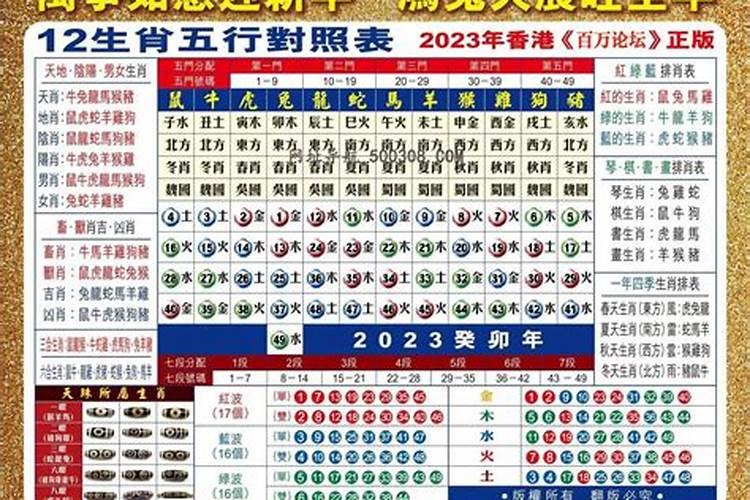 2024年是什么龙年五行