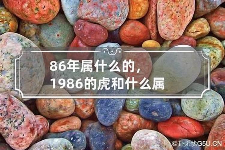 86年属虎的人跟属什么的合作好