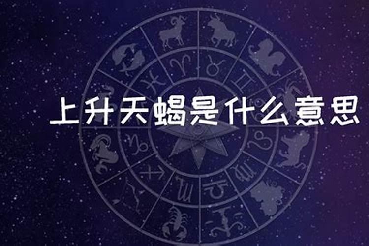 上升星座天蝎座什么意思