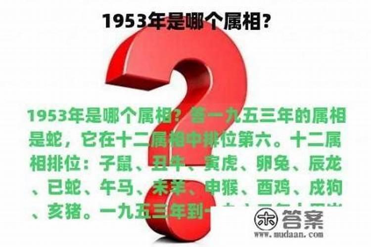 1953年的属相是什么