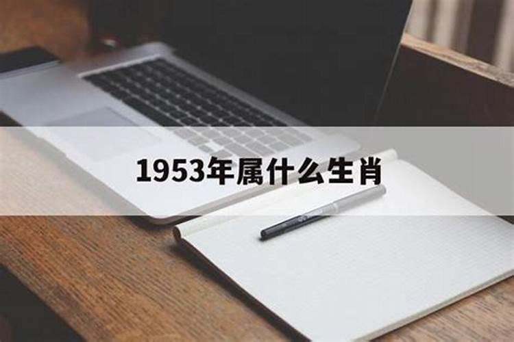 53年属什么生肖多大