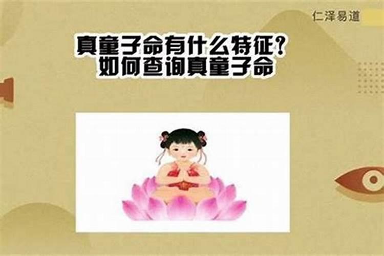 梦见牛是什么预兆周公解梦女性