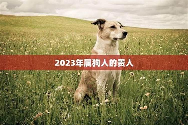 2023年属狗的贵人是什么属相