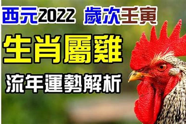 2022年生肖鸡运势