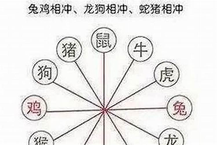 与鼠相冲的属相是什么意思