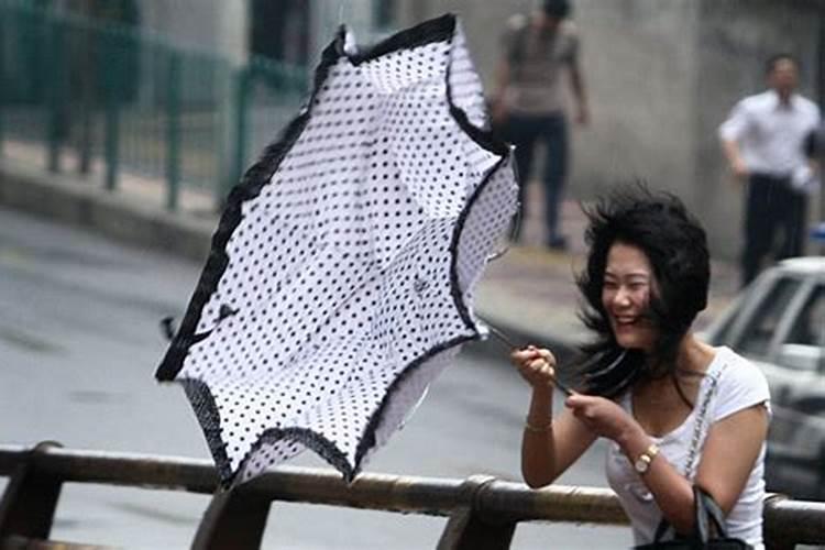 女人梦见刮大风下大雨是什么意思