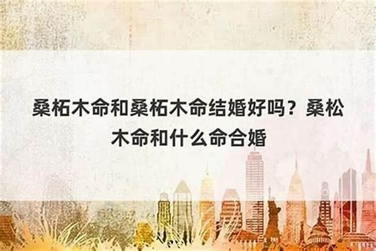 属兔的2022年适合搬家吗吉日