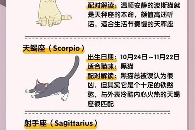 白羊座适合养什么狗和猫