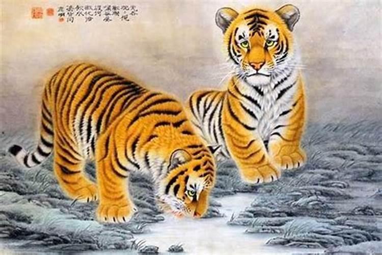 生肖猪刑太岁怎么化解