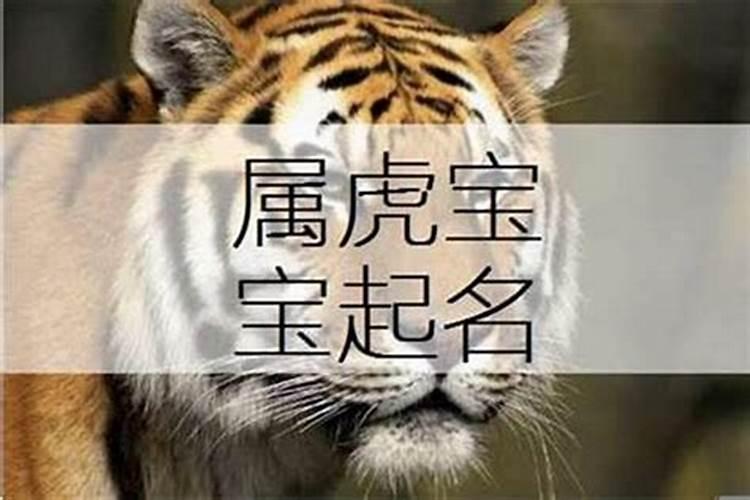 合八字白头到老的多吗