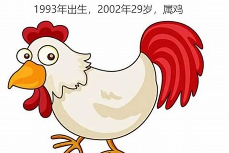 属鸡的今年多大了多大岁数