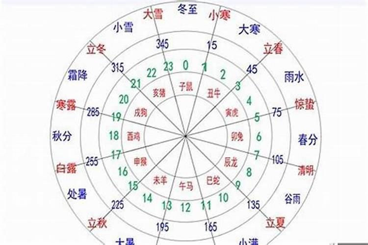 四分五落是什么生肖