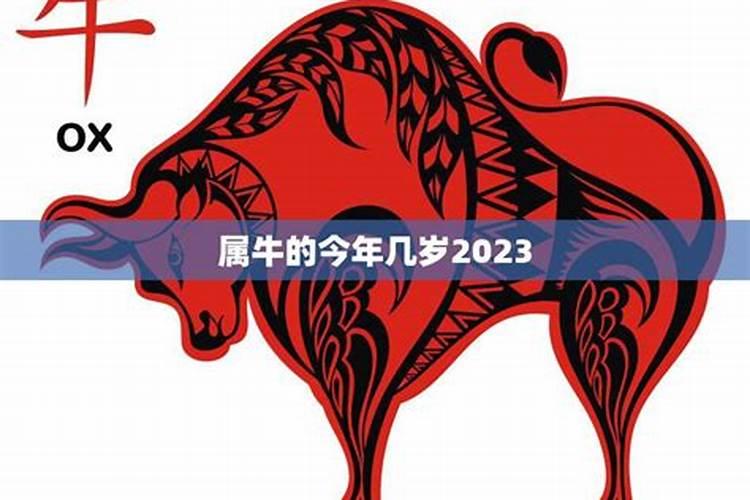 属牛的今年多少岁2022年