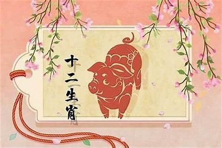 今年三十八岁属什么生肖属猪